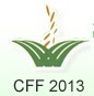 展会标题图片：(延期)2013第十一届谷物果蔬加工设备及粮食机械展览会