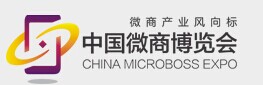 展会标题图片：2016中国微商博览会