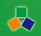 展会标题图片：2019第9届亚太地坪展（CGFF）