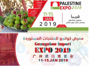 展会标题图片：2019广州进口博览会2019巴勒斯坦博览会