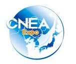 展会标题图片：2019第十二届中国东北亚博览会（CNEA）